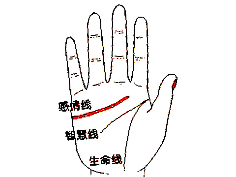 两条智慧线的手相图解(图1)