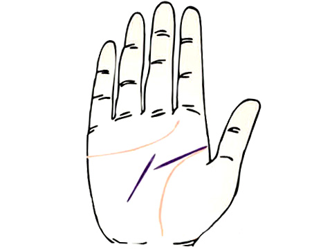 两条智慧线的手相图解(图2)