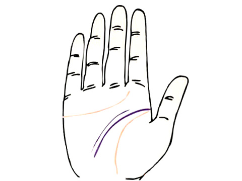 两条智慧线的手相图解(图3)