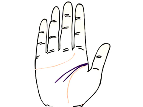 两条智慧线的手相图解(图4)