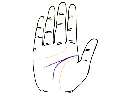 两条智慧线的手相图解(图5)
