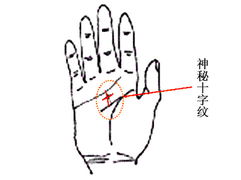 十字纹手相图解(图3)