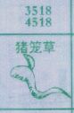 猪笼草(图1)