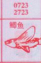 鲫鱼(图1)