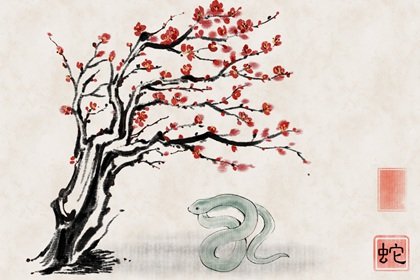 2022年春节属蛇禁忌 生肖蛇过年旺运方式