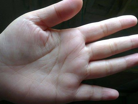 手掌纹路图解左手(图1)