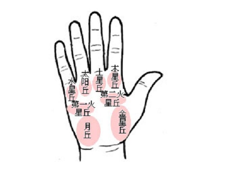 女人的手相看哪只手(图2)