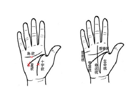 女人的手相看哪只手(图3)