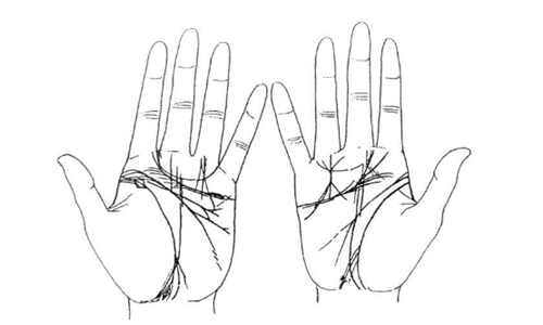女人的手相看哪只手，女人哪只手看相更准(图1)