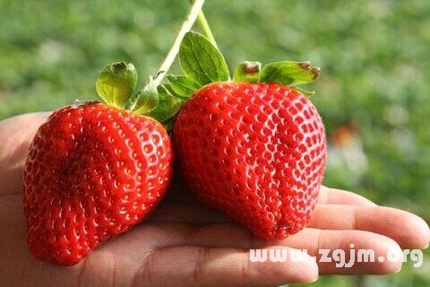 梦见草莓