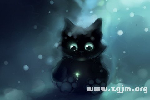 梦见黑猫