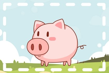 十二生肖猪和狗合不合 可以生旺财运和事业