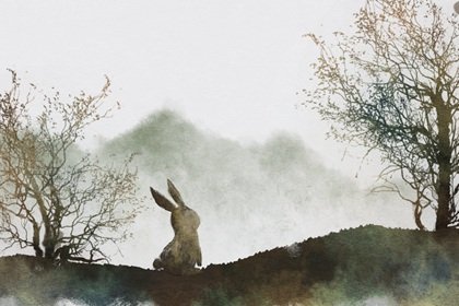 属兔最倒霉的年龄阶段 哪一年最惨？