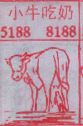 小牛吃奶(图1)