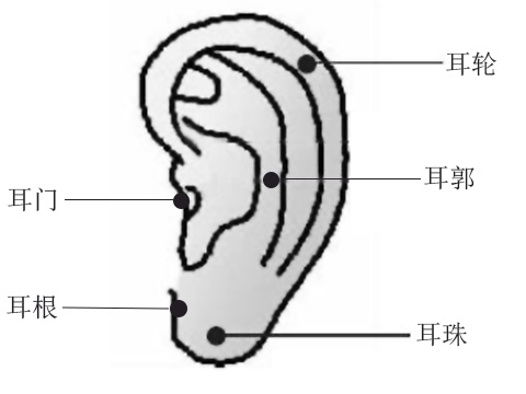 查运势痣相之耳朵有痣：耳朵痣的位置与命运图女人(图1)