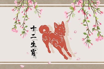生肖狗2023年春节幸运颜色,属狗过年穿红好吗