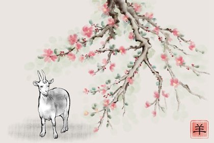 生肖羊，2023年春节期间将有三桩大好事